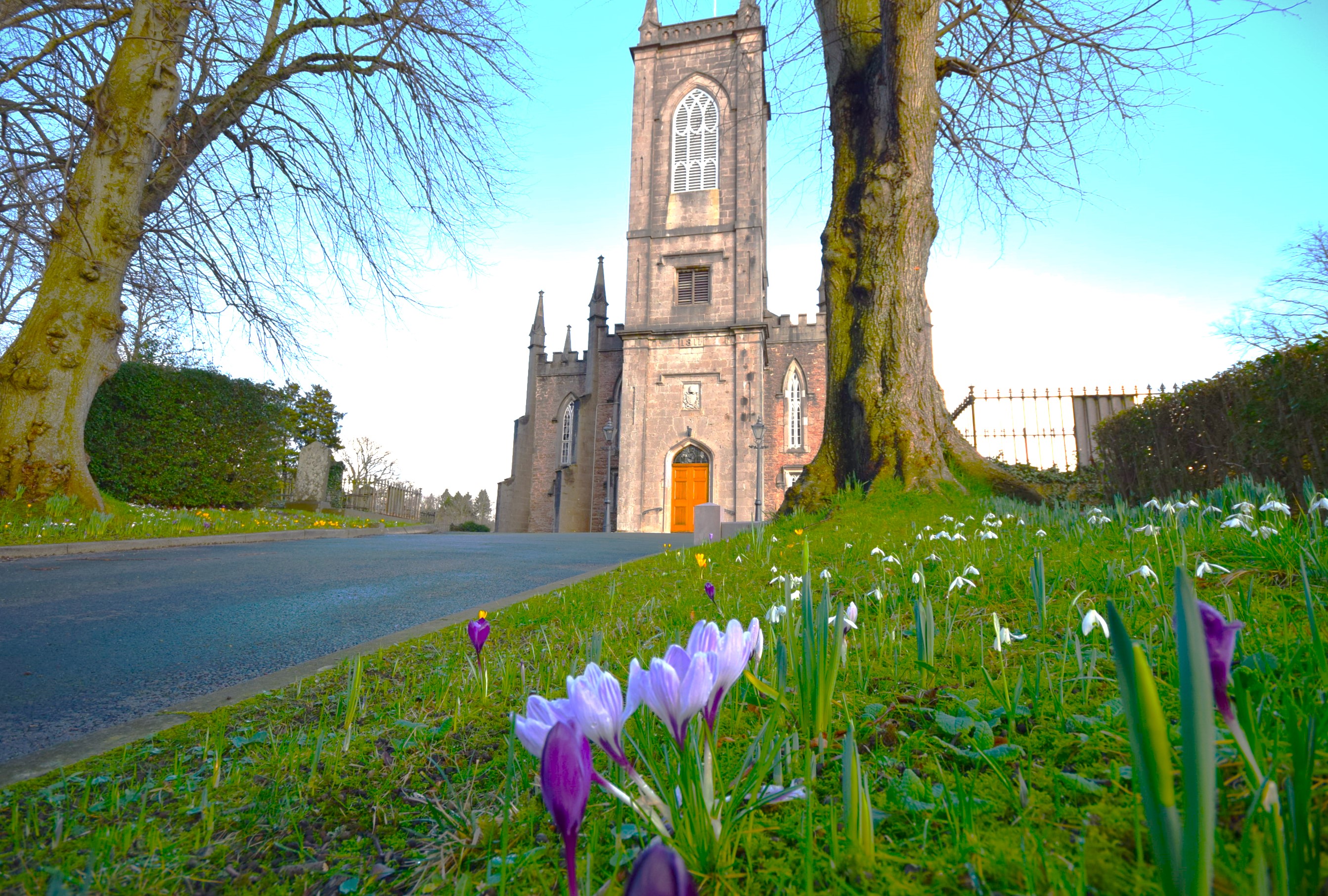 Spring flowers | National Churches Trust