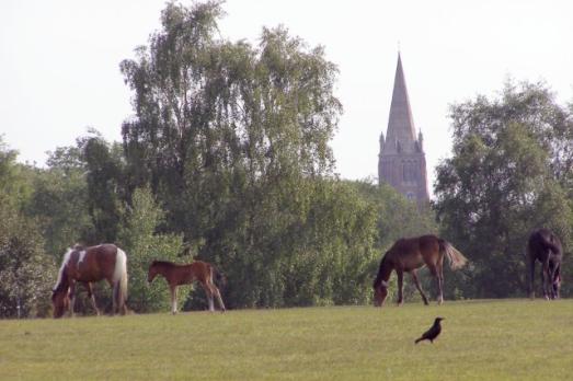 HampshireLYNDHURSTStMichaelAllAngels(jimchampionCC-BY-SA2.0)1