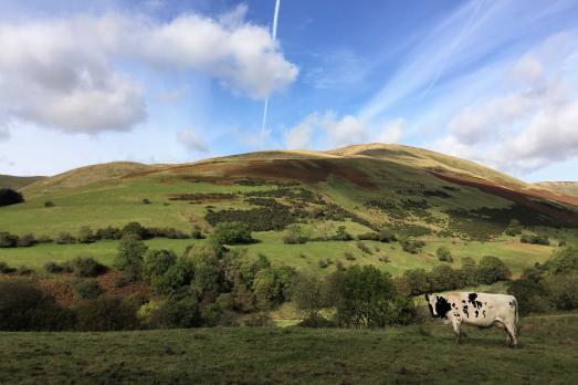 CumbriaSEDBERGHCautleyChapel(jaynepottsPERMISSIONBYEMAIL)4