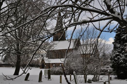 A church surrounded by trees in the winter