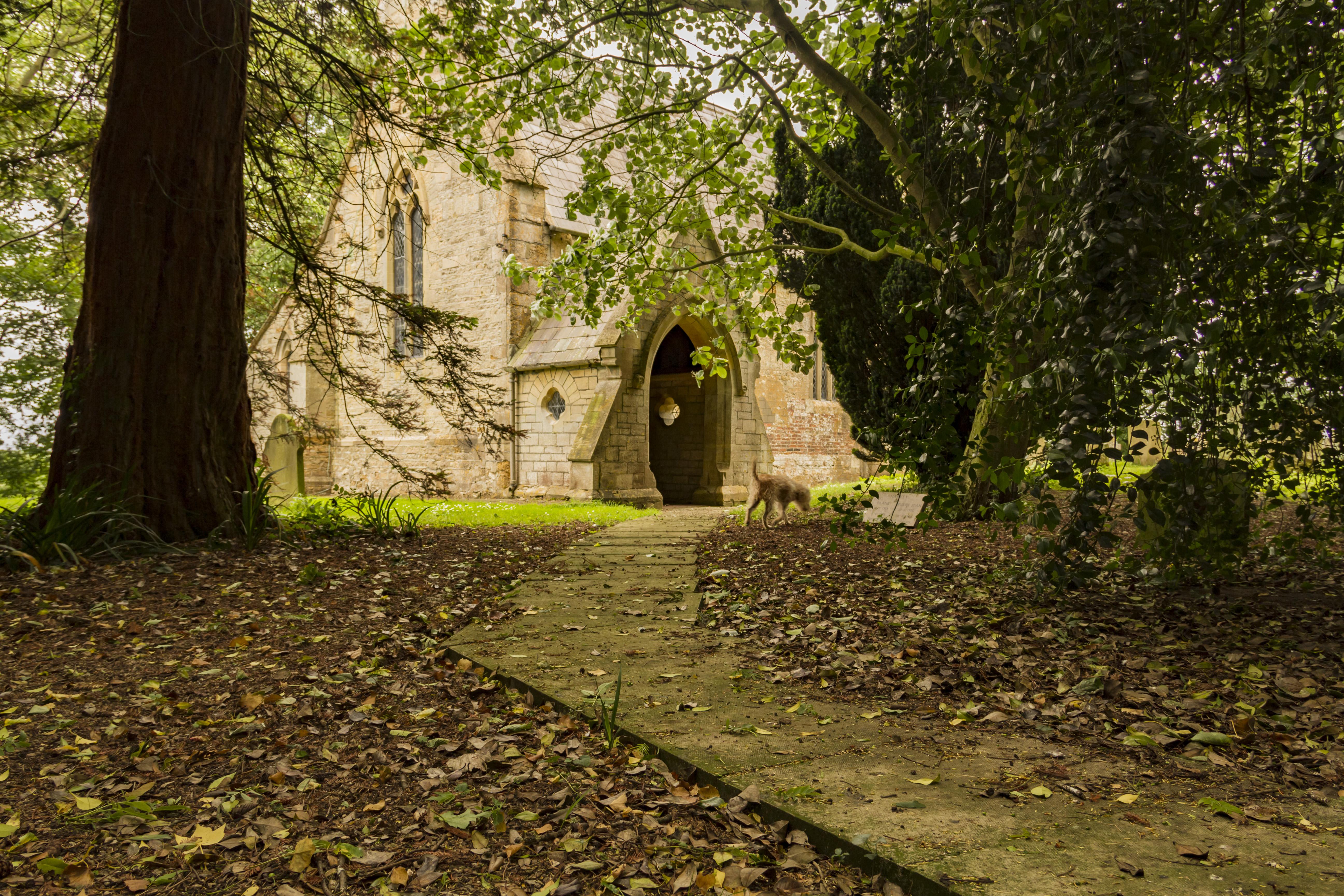 LincolnshireSNELLANDAllSaints(explorechurches.org)9