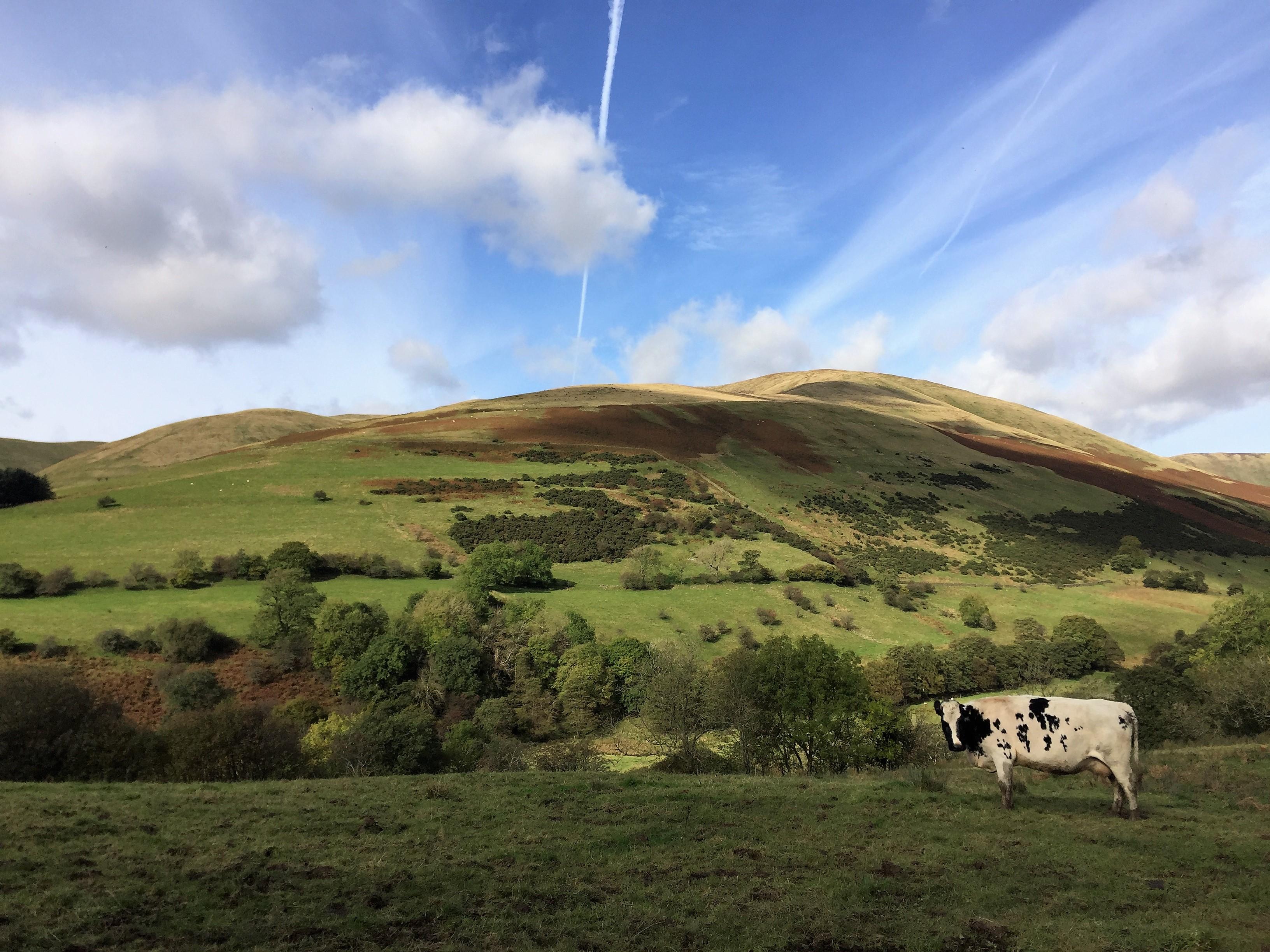 CumbriaSEDBERGHCautleyChapel(jaynepottsPERMISSIONBYEMAIL)4