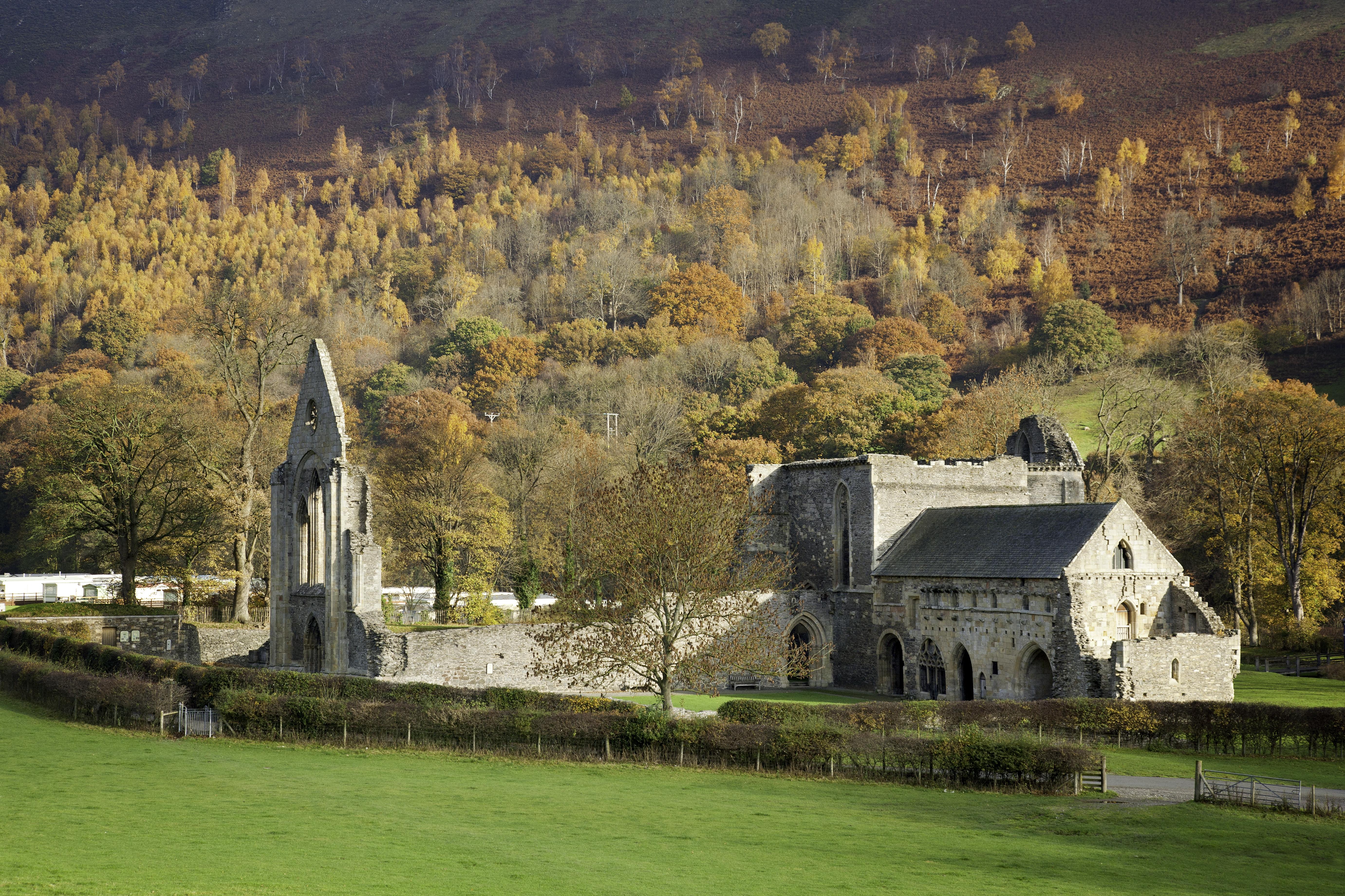 ClwydLLANGOLLENValleCrucisAbbey(©crowncopyright2020)13