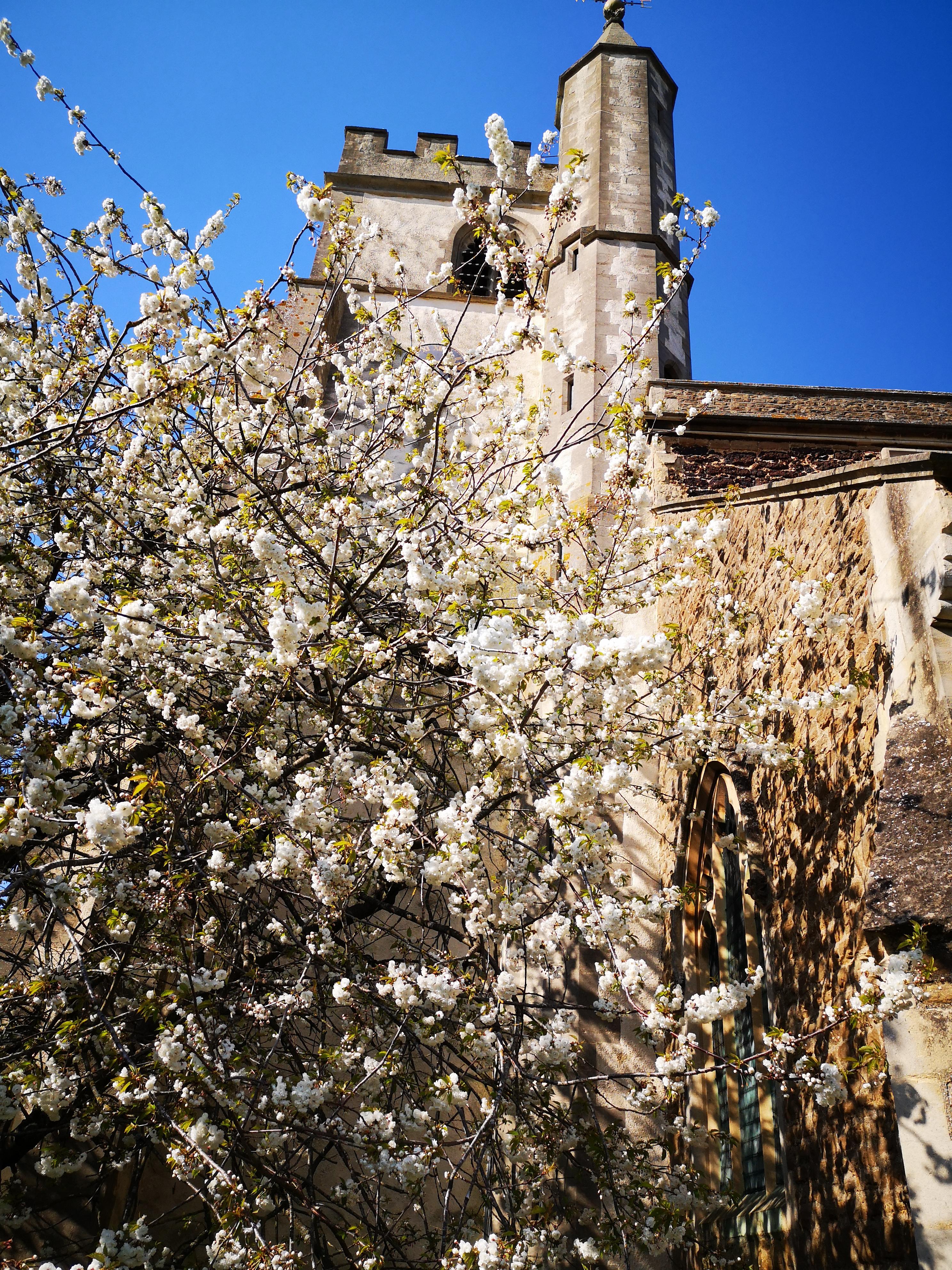 BerkshireWOKINGHAMAllSaints(davidhodgsonPERMISSIONBYEMAIL)1