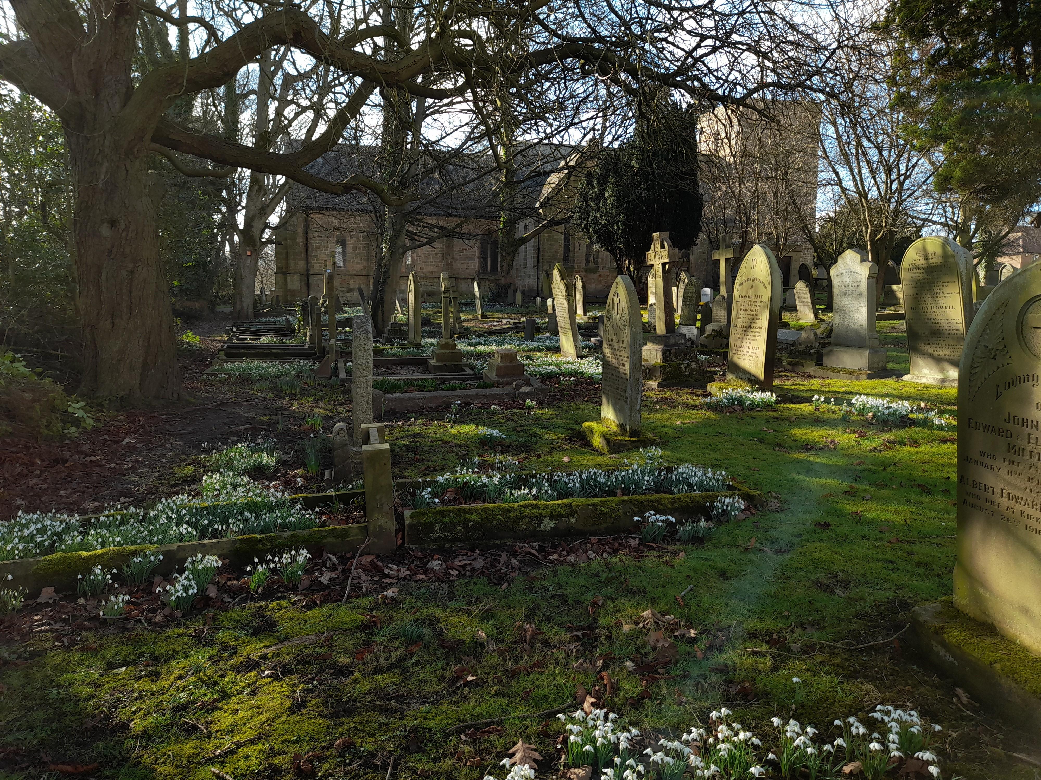 NorthumberlandPONTELANDStMaryVirgin(annchapmanPERMISSIONBYEMAIL)1