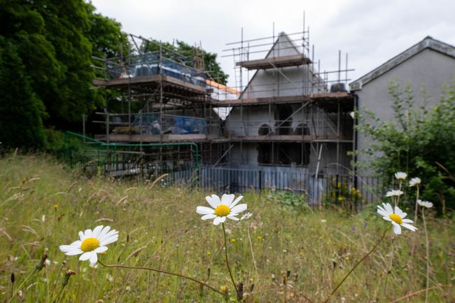 A group of flowers in front of a scaffolded church